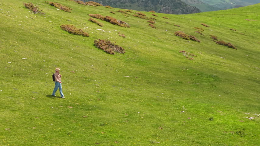 Solitary hiker walks across a sunlit green mountain meadow in the Pyrenees, with rugged hills and a distant valley beyond.