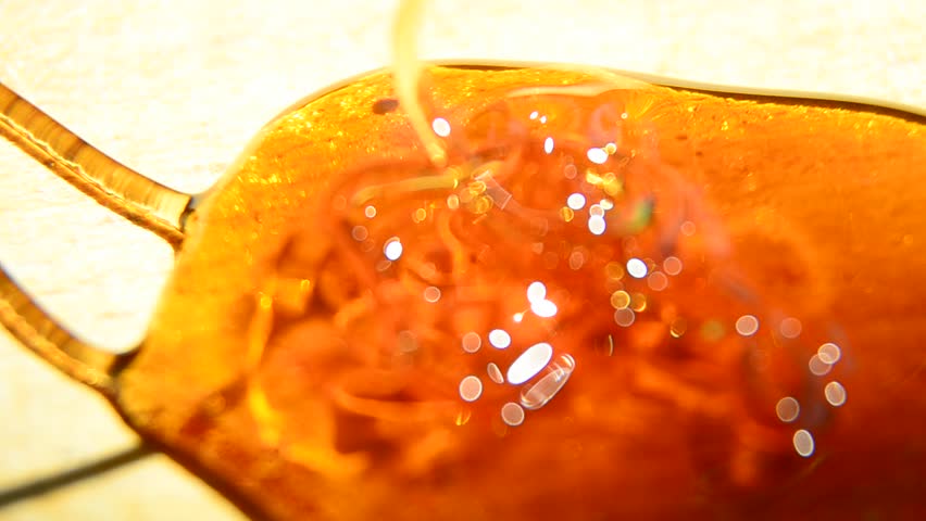 Blurred motion of honey flowing on a background, Extreme close up