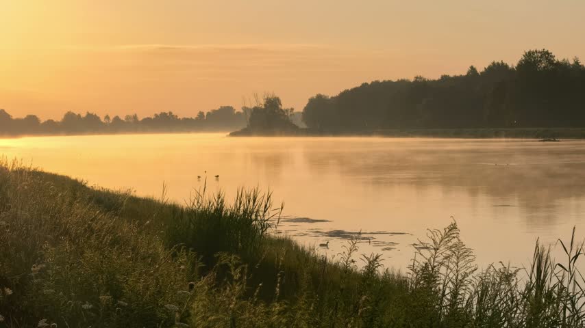 Golden Morning Mist Over a River at Sunrise.

Warm golden sunlight illuminates a calm river covered with morning mist, with trees and natural vegetation along the shoreline creating a peaceful summer landscape. Natural outdoor footage.