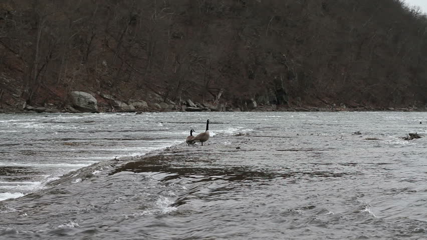 Water Flowing Down a River