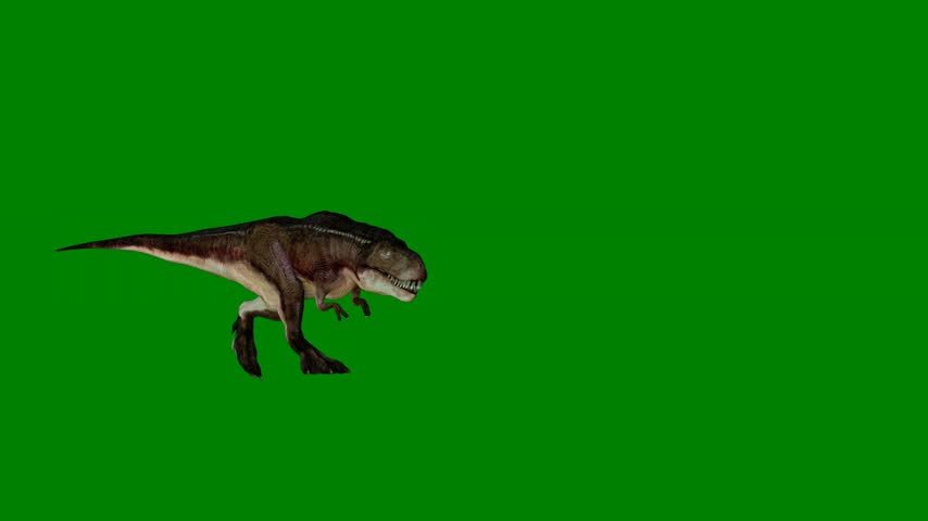 A dinosaur flying through the air isolated on green screen background
