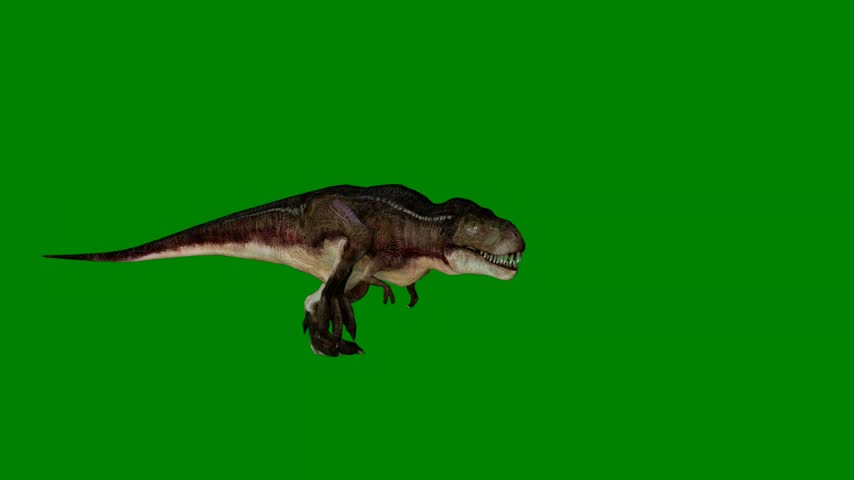 A dinosaur flying through the air isolated on green screen background