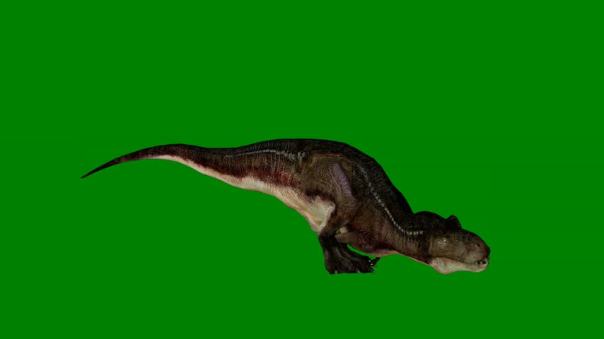 A dinosaur flying through the air isolated on green screen background