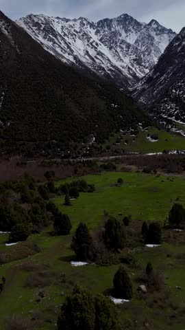Drone flight over alpine meadows with pine trees, mountain streams and rocky terrain.