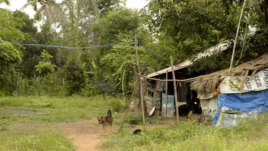 A dog in front of a rundown house in rural Thailand.