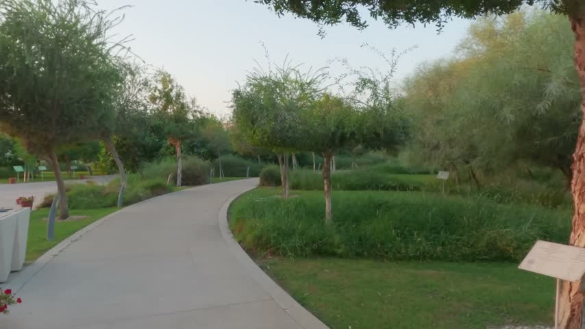 Curved concrete walkway through a lush green park with trees and grass