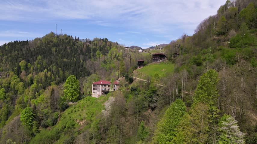 Historical mansions. Historic mansions among green forests, trees and meadows. Footage of old mansions made of wood and stone.