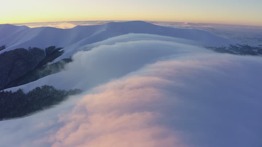 Cloud waves gently and slowly flow over the tops of snow-capped mountains covered with spruce forests at a cold sunset