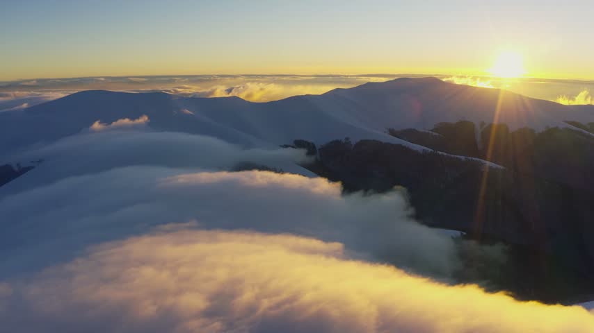 Cloud waves gently and slowly flow over the tops of snow-capped mountains covered with spruce forests at a cold sunset