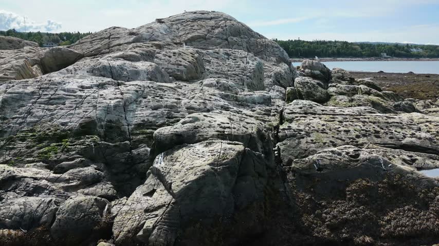 Drone footage of a seagull perched on a rugged coastal outcrop, with the ancient shoreline and St. Lawrence River forming the natural backdrop in Quebec.