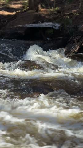 Vertical view of rushing forest stream with whitewater rapids flowing rapidly over rocks, creating foam, splashes and strong natural water movement.