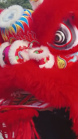  Traditional red Chinese lion dance costume head close up