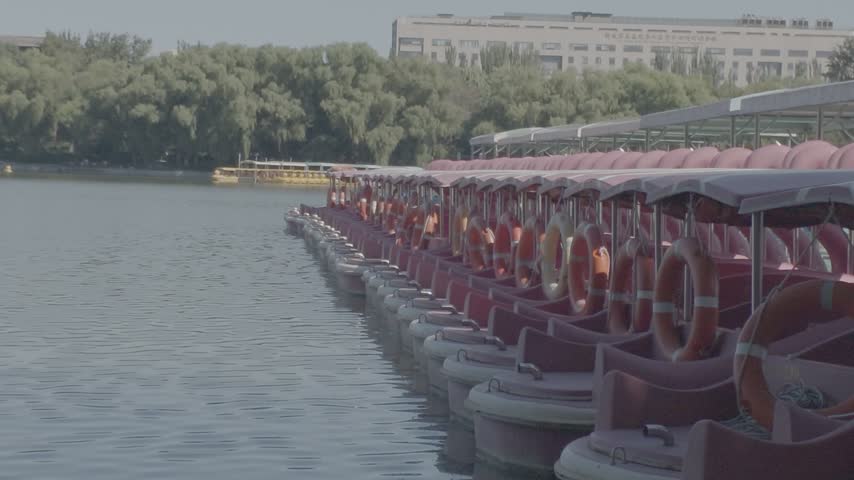 A neat line of pink swan pedal boats moored at the wooden pier station along a calm lake, with green trees and buildings in the distance.