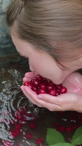 Young woman eating fresh red cherries from her cupped hands above a bucket of water filled with berries in slow motion outdoors during summer harvest, close up profile view.