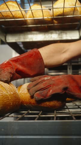 A baker wearing protective gloves arranges freshly baked rye bread loaves on a metal bakery rack for cooling. The footage shows bread being handled and organized in a commercial bakery after baking.