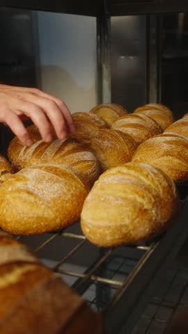 A baker arranges freshly baked white bread loaves on a metal bakery rack for cooling. Close-up footage of freshly baked bread being handled and organized in a commercial bakery.