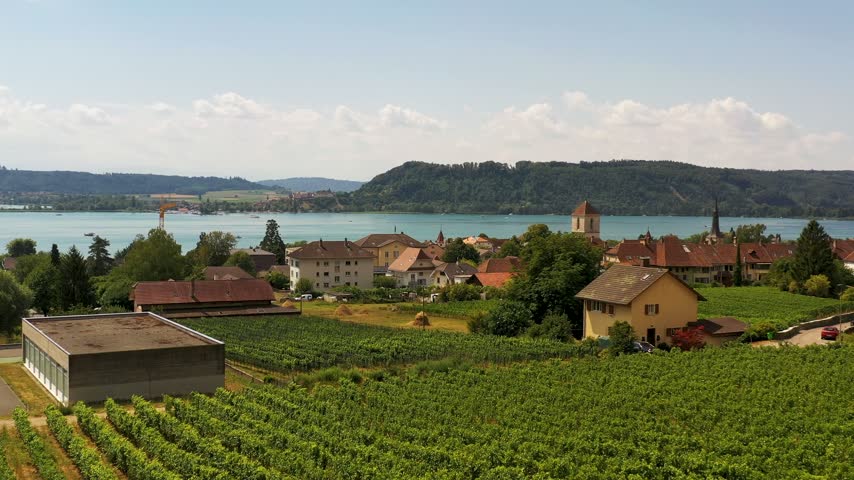 Terraced vineyards fall to a lakeside village of red tiled roofs on Lake Biel, Switzerland, turquoise water and a long wooded ridge filling the horizon. Aerial drone wide shot