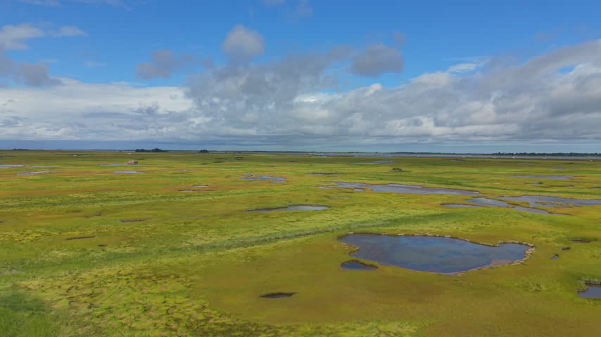 Scattered water pools dot vast salt marsh grassland, golden green vegetation stretches toward distant treeline, grey clouds hang above Ipswich Salt Marsh, Massachusetts. Aerial drone flyover shot