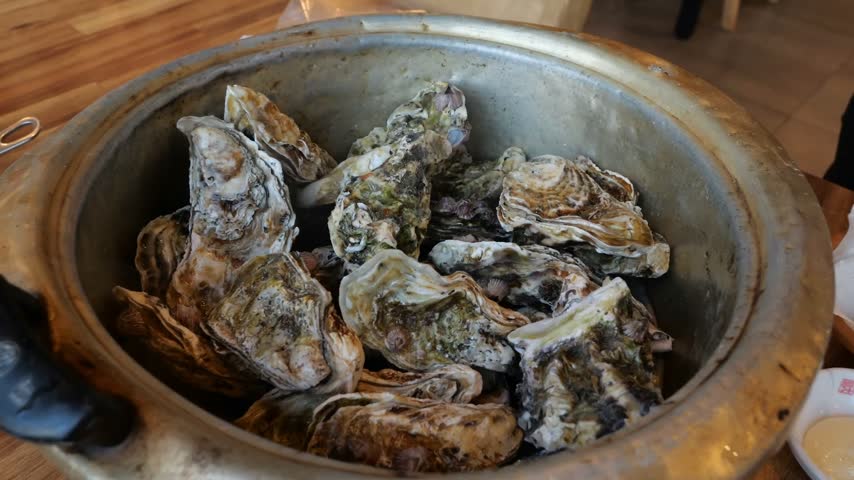 Steamed oysters resting inside a large metal pot prior to being opened and served as a delicious seafood meal in a restaurant setting
