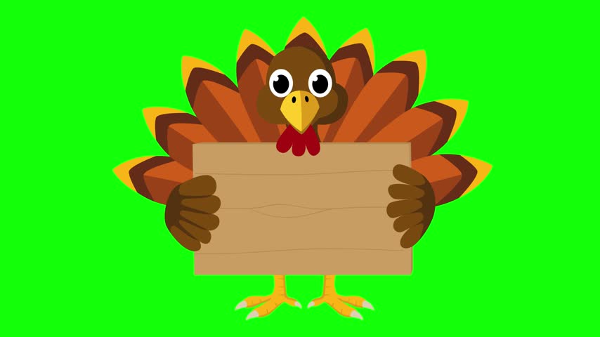 Cute cartoon turkey holding a blank wooden sign, designed for Thanksgiving and fall holiday motion graphics.