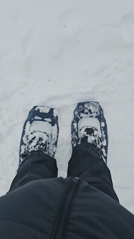 Snowshoe Hiking Through Deep Snow in a Winter Forest in Finnish Lapland