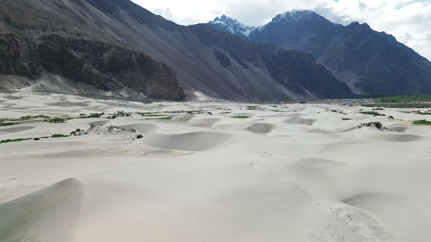 Wide aerial push in shot flying forward low over white sand dunes with green patches towards dark rocky mountains and snow peaks in Hunder, Nubra Valley, Ladakh, India.
