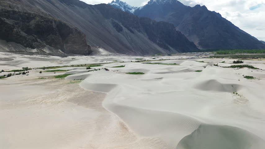 Wide high angle aerial arc shot orbiting around white sand dunes with green vegetation patches and dark snow-capped Himalayan mountains in Hunder, Nubra Valley, Ladakh, India.