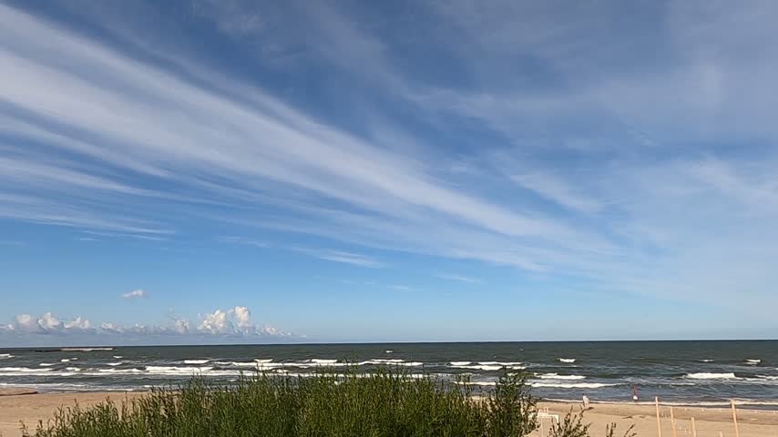 Wide view of a sandy beach and wavy sea beneath a blue sky with wispy clouds, with green coastal shrubs in the foreground.