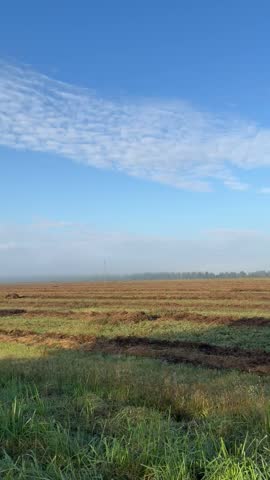 Wide rural landscape with a harvested agricultural field under a blue sky covered by bands of small white clouds, with distant trees, light morning haze and utility poles.