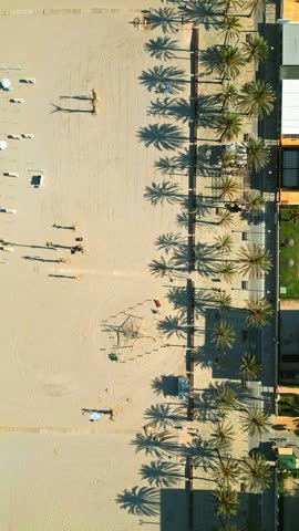 Top down drone perspective of tropical coastline featuring palm tree shadows sandy beach and people swimming in emerald sea water during summer vacation at luxury resort destination.