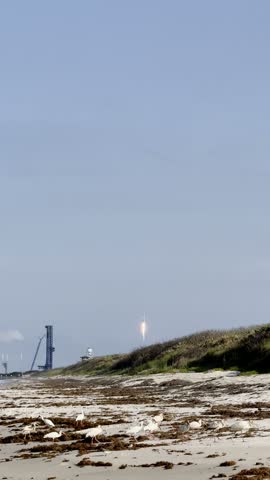 A rocket rises from a coastal launch site beyond a sandy beach with white ibis birds. The launch tower, dunes, seaweed, bright sky, and wildlife create a dramatic Florida space coast scene.