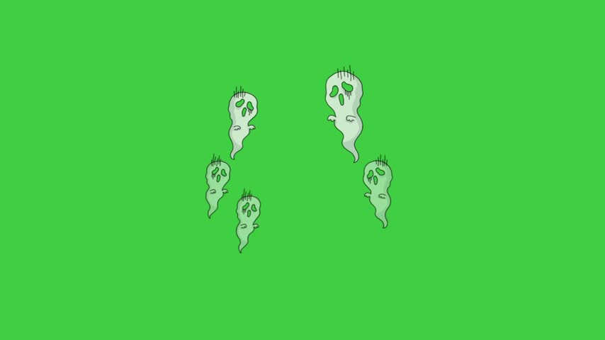 Halloween animation, cute ghost, SHOTLISTspooky, green background 