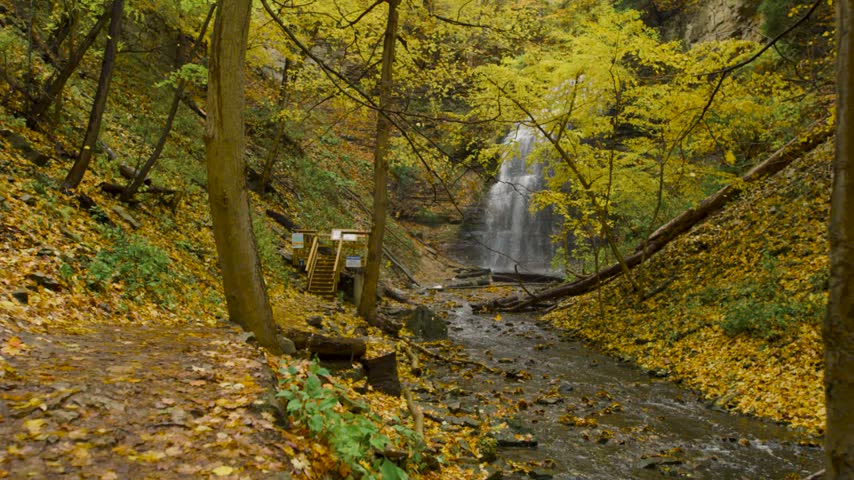 Scenic Waterfall and Creek Surrounded by Colorful Autumn Forest in Ontario, Canada