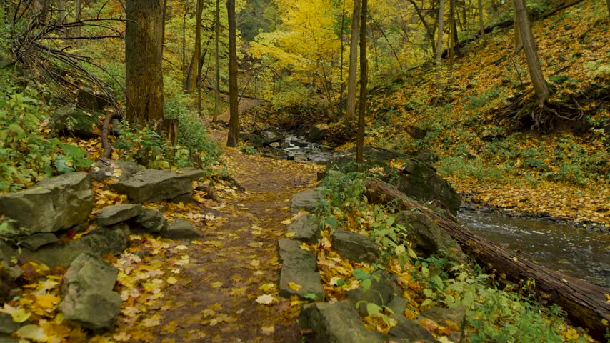 Scenic Autumn Forest Trail Along Flowing Creek in Ontario, Canada