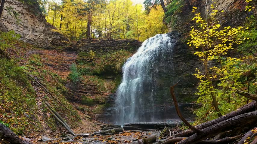 Waterfall Surrounded by Autumn Forest in Ontario Canada