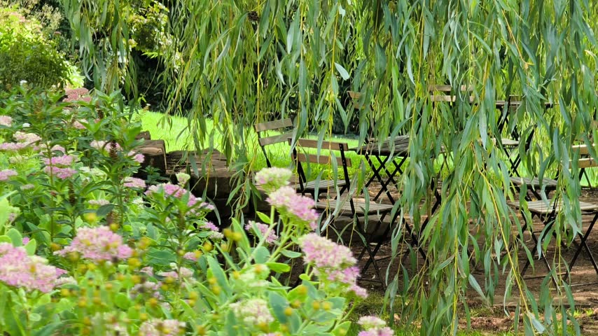 Cozy garden seating under weeping willow at Villa Tugendhat
