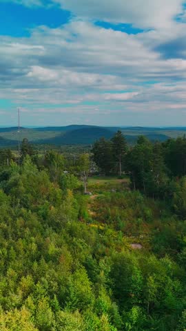 Aerial view of Hogback Mountain Conservation Area, Marlboro, Vermont with rolling forested hills, distant mountains, and dramatic cloudy sky, representing wilderness and environmental preservation. Vertical.
