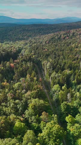 Scenic aerial view of Hogback Mountain Conservation Area, Marlboro, Vermont with rolling forested hills, distant mountains, and dramatic cloudy sky, representing wilderness and environmental preservation. 4K. Vertical.