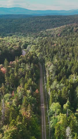Aerial view of a winding road through Hogback Mountain forest, Marlboro, Vermont with rolling hills and distant mountains, representing wilderness, travel, and conservation. Vertical.