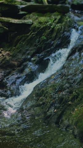 Woman viewing cascading Tannery Falls flowing over moss-covered rocks in a lush forest at Savoy Mountain State Forest, Massachusetts. Vertical.