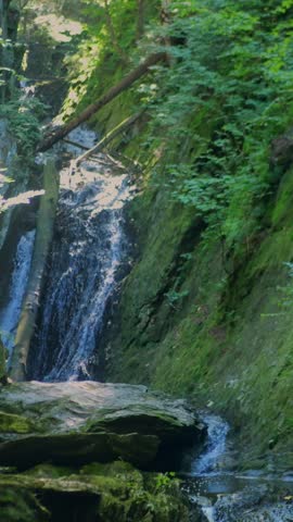 Scenic view of Tannery Falls cascading through a lush green forest gorge with mossy rocks. Vertical.