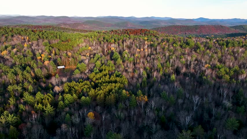 Aerial view of a dense forest in the Adirondack Mountains during autumn with golden hour light and a small cabin nestled among the trees in Warrensburg, New York, United States.