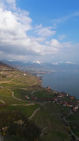 A village of red roofs sits among the Lavaux vineyard terraces on the shore of Lake Geneva, Switzerland, footpaths threading the slope above the flat calm water. Aerial drone wide shot