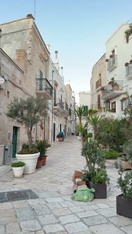 Narrow street in the historic center of Polignano a Mare with small green plants and whitewashed houses, Puglia, Italy