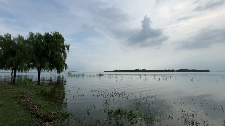 4K static wide shot of Suzhou Taihu Lake shoreline under overcast sky. Weeping willow tree frames a distant boater rowing on calm water with gentle ripples and soft light.