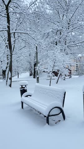 Snow-covered park with a bench surrounded by snow-laden trees in winter