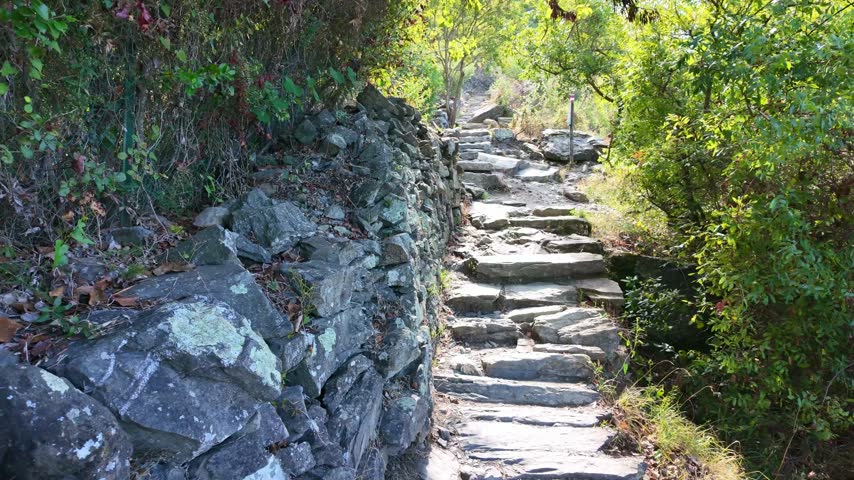Stone steps and stone wall on woodland trail. Hiking in Cinque Terre.
