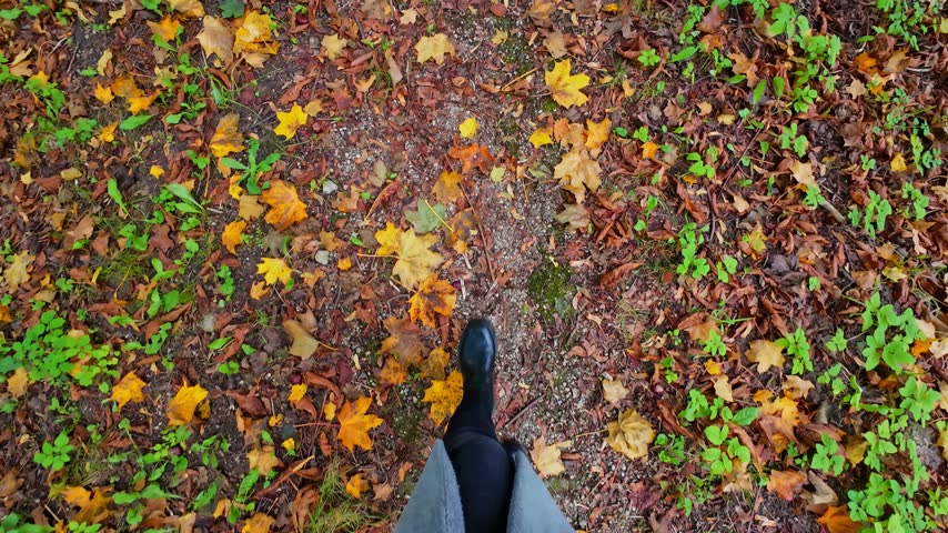 First person view of person walking on dirt path covered in colorful fallen autumn leaves through tranquil woodland forest.