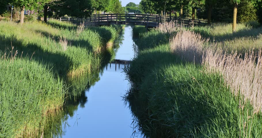 Calm canal flows between green banks and tall reeds. Trees line both sides