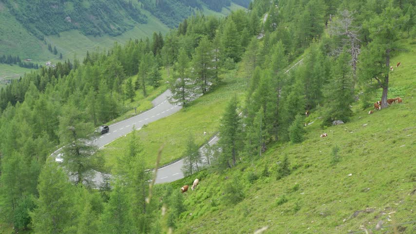 Cars Driving Along the Scenic Grossglockner High Alpine Road in Austria
